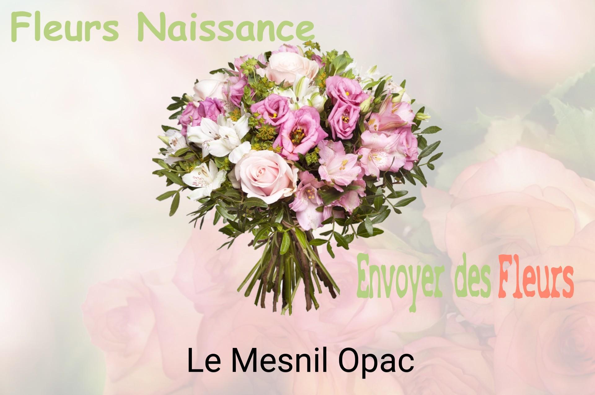 Bouquet de fleurs de naissance livré à Le Mesnil-Opac