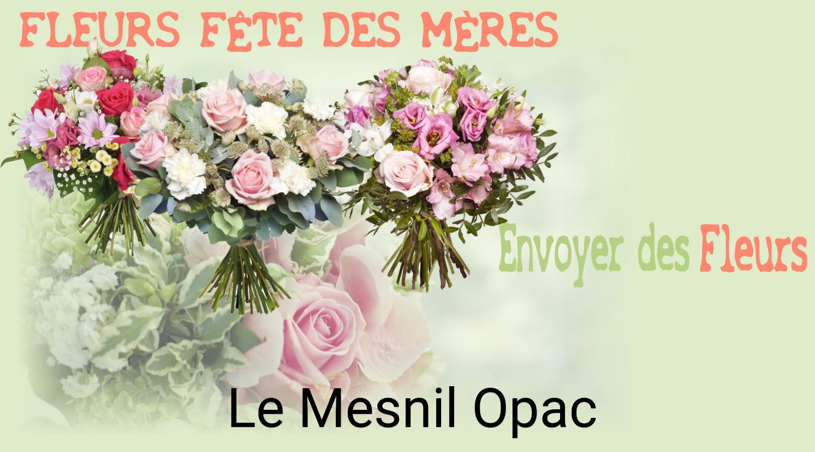 Bouquet de Fête des Mères livré à Le Mesnil-Opac
